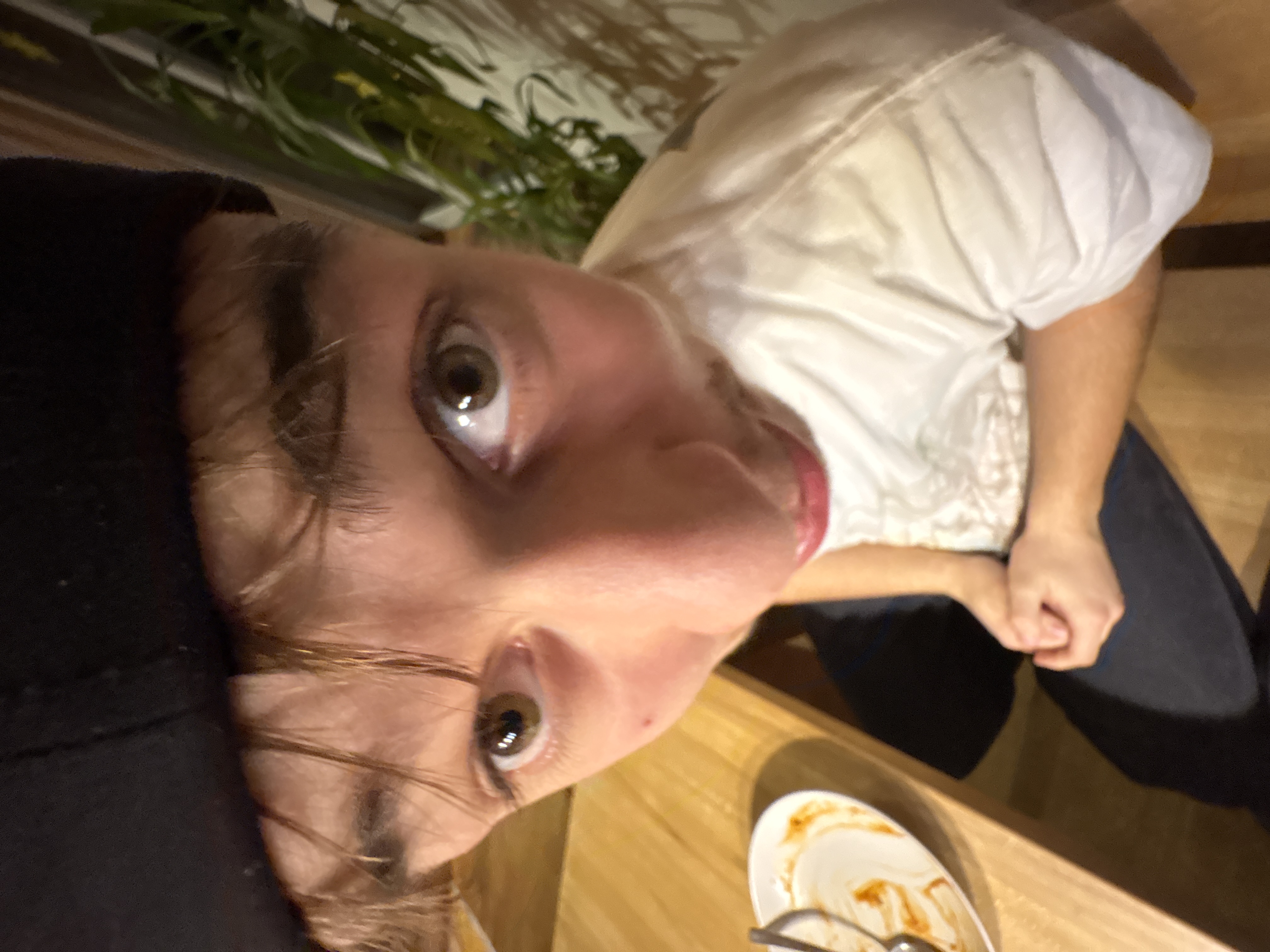 Schlörek van Herzog 